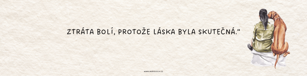 Ztráta bolí, protože láska byla skutečná.“